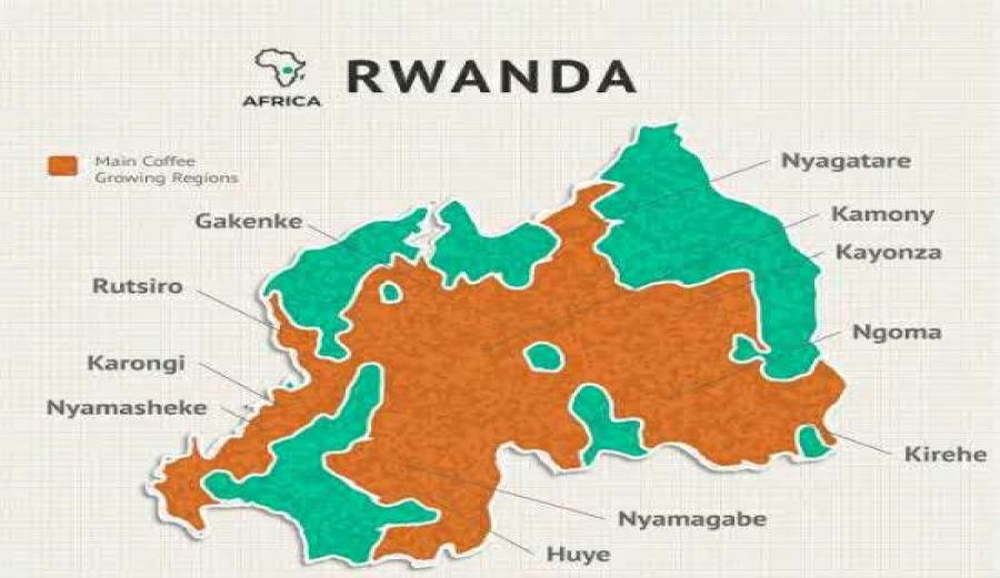 In-depth Analysis of Rwandan Coffee Regions: Terroir, Processing, and the Path to Specialty