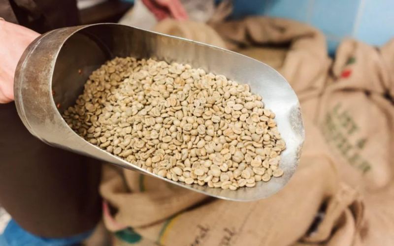 ICE-certified inventory hits 24-year low！ The reasons behind nearly 30% of Arabica green beans becoming aged beans