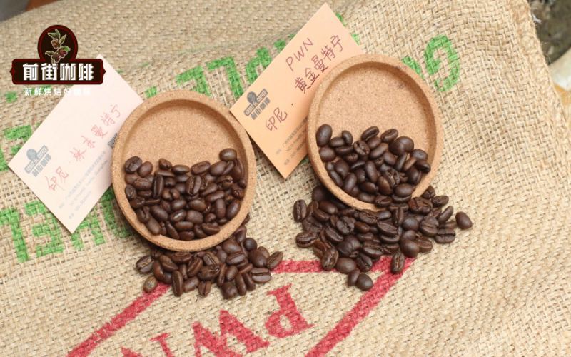 Flavor Analysis of Mandheling Coffee from Various Regions in Sumatra & Guide to Selecting PWN Golden Grade