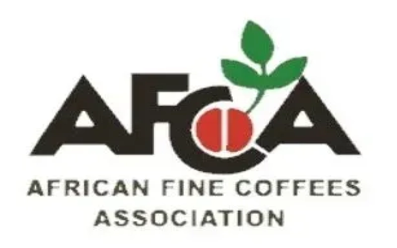 The 2024 Ethiopia TOH Green Bean Competition Results Are Out！An In-depth Analysis of the Top Three Process Method Champions