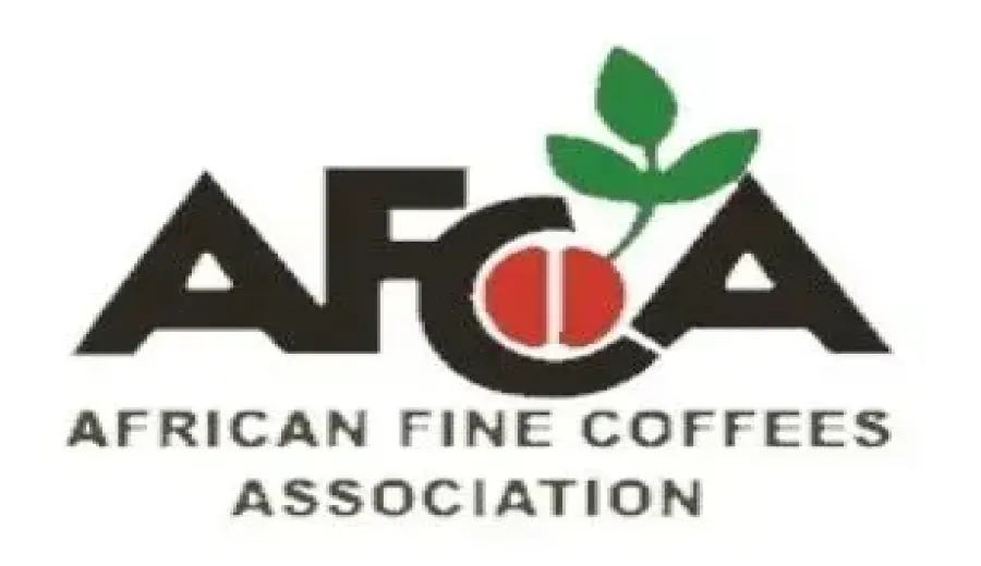 The 2024 Ethiopia TOH Green Bean Competition Results Are Out！An In-depth Analysis of the Top Three Process Method Champions