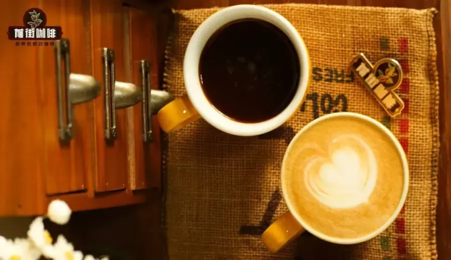 A Guide to Specialty Coffee Beans: Roast Levels and Processing Methods for Crafting Coffee Combos