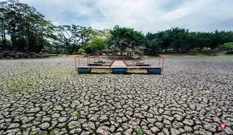 Costa Rica Coffee Crisis: How Climate Change Impacts Flavor and the Industry Chain?