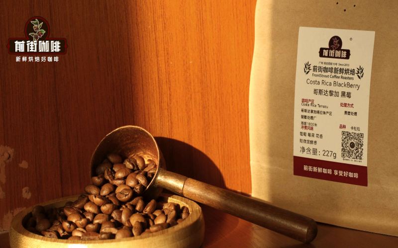 黑蜜處理｜哥斯達黎加蜜處理咖啡豆爲何甜感高？莓果風味明顯的高品質手衝咖啡豆有哪些推薦？