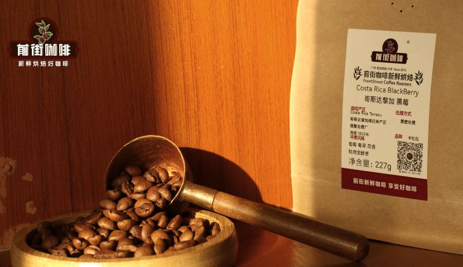 Analysis of Costa Rica Black Honey Processed Coffee Beans | High Berry Sweetness & Pour Over Recommendations