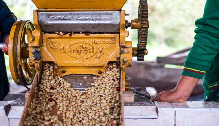 Ethiopia Yirgacheffe vs Sidamo: Flavor Analysis & Pour Over Bean Recommendations
