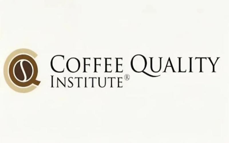 The Ultimate Guide to Q-Grader Certification: From Exam Modules to a Career as a Specialty Coffee Cupper