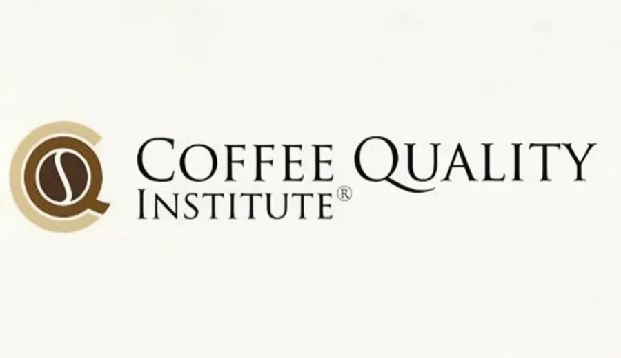 The Ultimate Guide to Q-Grader Certification: From Exam Modules to a Career as a Specialty Coffee Cupper