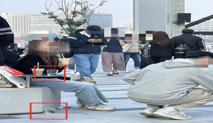 Blue Bottle Coffee Pet Water Feeding Controversy: Balancing Public Utensil Hygiene and Pet-Friendliness?