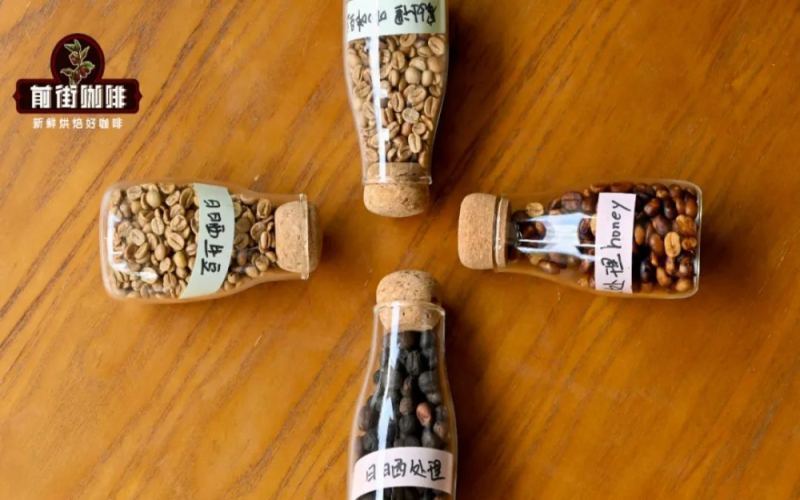 Honey Process vs. Natural Process Coffee: Sweetness Differences, Processing Methods Explained, and Bean Recommendations