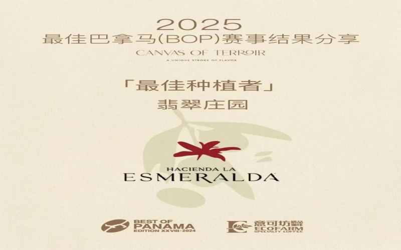 BOP competition results announced！ Emerald Estate wins three championships, Geisha auction price breaks through the $10,000 threshold