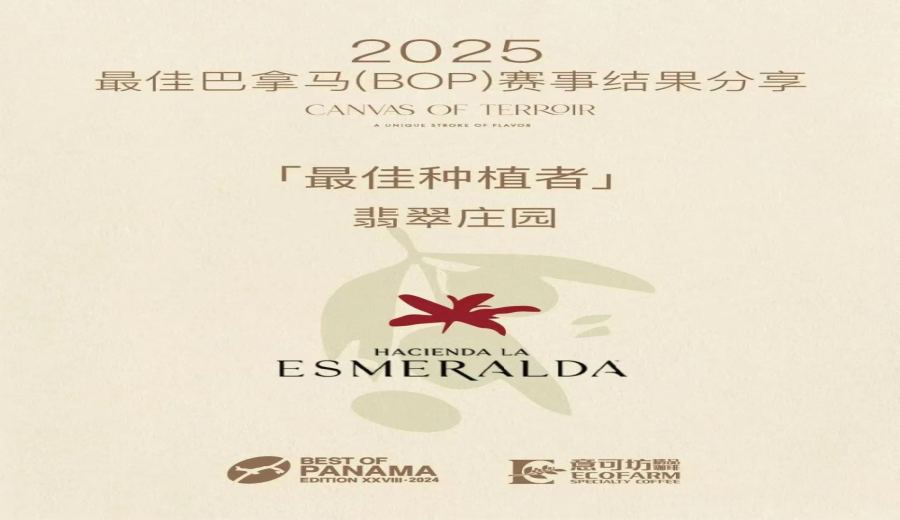 BOP competition results announced！ Emerald Estate wins three championships, Geisha auction price breaks through the $10,000 threshold