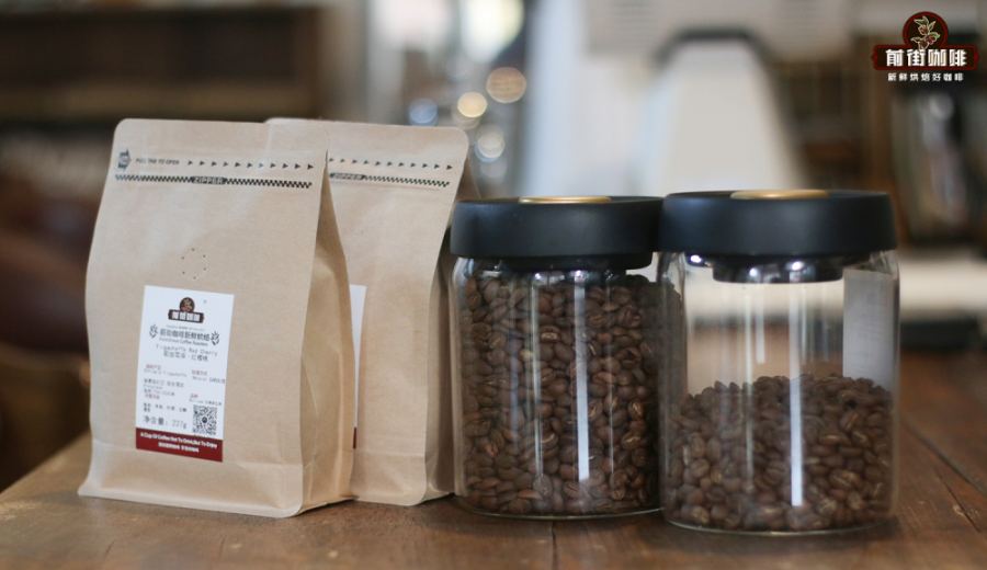A Comparative Review of Pour Over Coffee Beans from Three Continents | Essential Guide to Single-Origin Flavors and Brewing Tips for Coffee Beginners