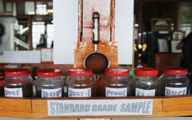 How to Grade Black Tea? Unveiling SFTGFOP, OP Classifications & Flavors