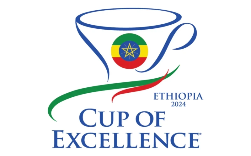 The 2024 Ethiopia COE Results Are Out！ All Natural Process Beans Win Big, with Bench Maji-Bona Zone in Sidamo Standing Out