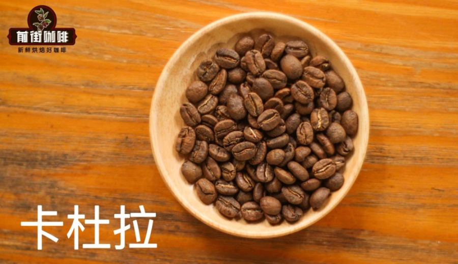 A Comprehensive Guide to the Caturra Coffee Variety: Flavor Characteristics, Brewing Methods, and Cultivation Essentials