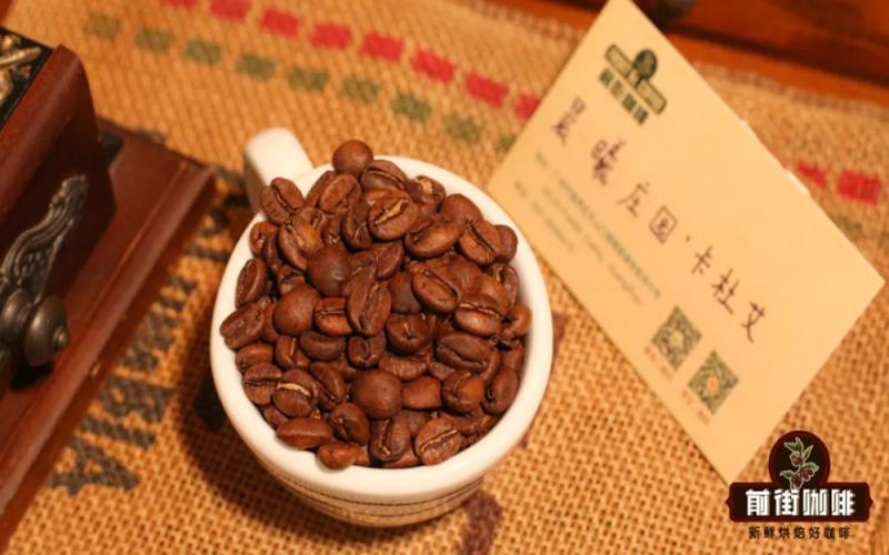Costa Rica Dawn Estate Red Honey Catuai: Flavor Analysis of Tarrazú Region Honey Process & Pour Over Brewing Guide