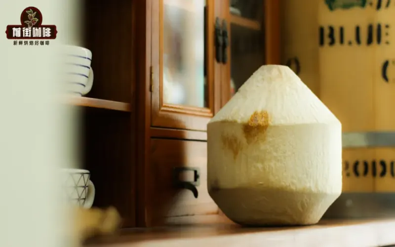 Complete Guide to Summer Coconut Coffee Drinks: Flavor Differences from Young Coconut to Thick Coconut Milk & DIY Methods