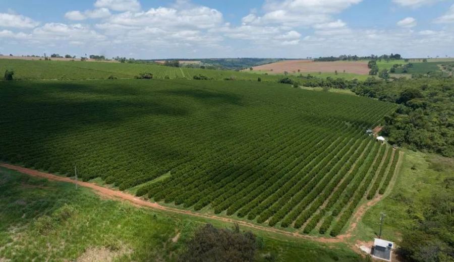 Brazil’s November coffee exports rise 5.4%, face logistics and labor strike challenges