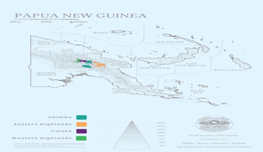 Complete Guide to Papua New Guinea Coffee Origins: From High-Altitude Terrain to the Flavor Secrets of AA-Grade Washed Beans