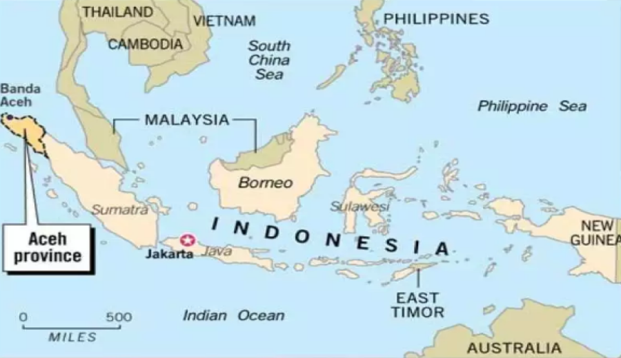 A Comprehensive Guide to Sumatra, Indonesia’s Coffee Region: Is Mandheling a Specialty Arabica Bean?