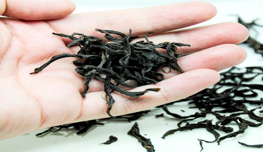 How to Choose Ya Shi Xiang Dan Cong Oolong? A Complete Guide on Market Price, Aroma, and Pour Over Parameters