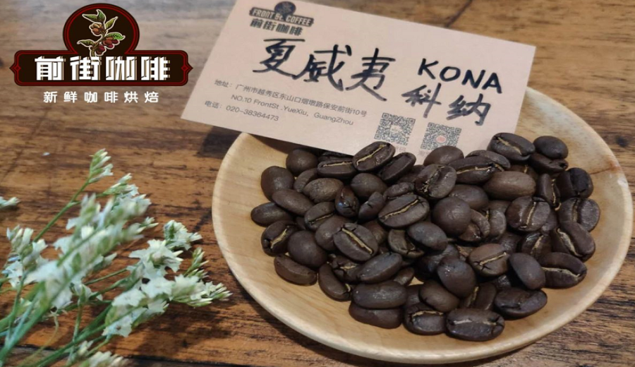 A Complete Guide to Hawaiian Kona Coffee: Origin, Grades, and the Flavor Profile of Queen Estate Typica