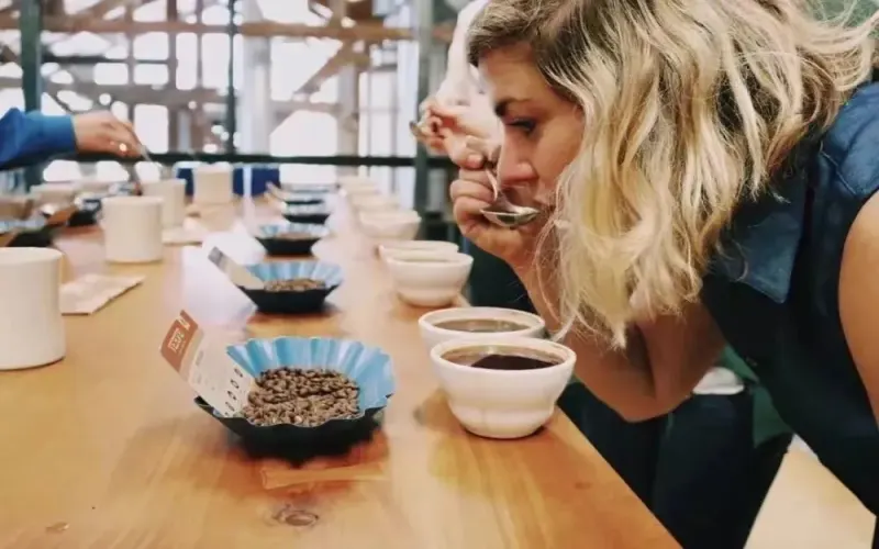 Why do pour over baristas taste first? Unveiling the secrets of adjusting extraction efficiency and flavor control