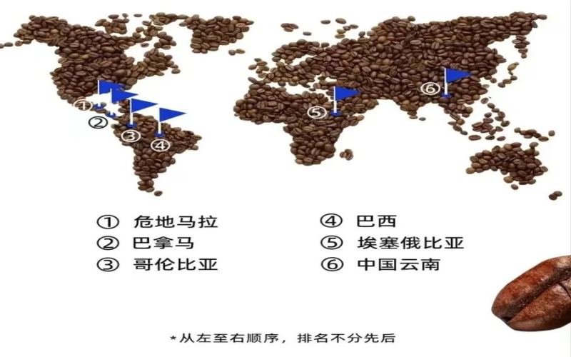 Exclusive behind-the-scenes of a green coffee buyer’s job: global sourcing, cupping hundreds of coffees—Is overseas travel really that glamorous?