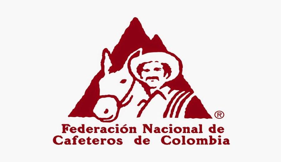 Complete Guide to Colombian Arabica Beans: Regions, Washed Process & Pour Over Flavor Profiles