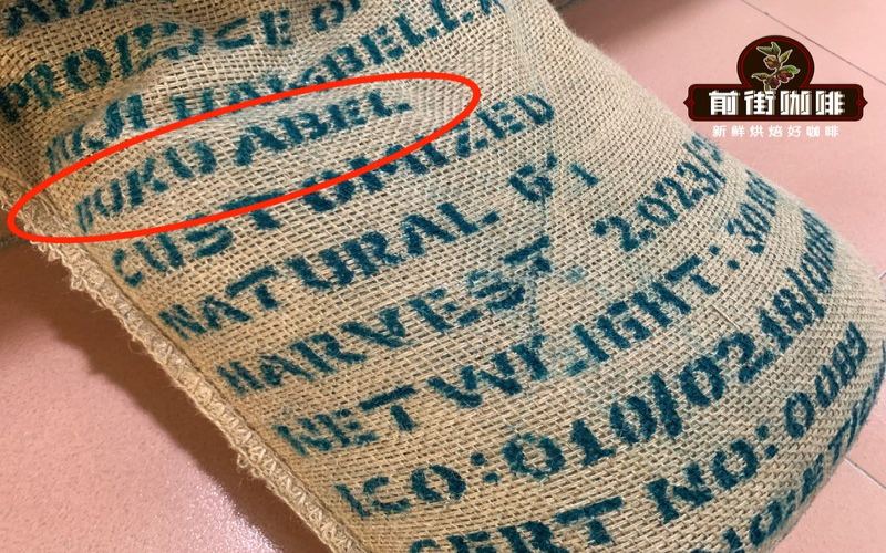 How to Choose Coffee Roast Levels? A Beginner's Guide to Balanced Sweetness and Flavor Analysis