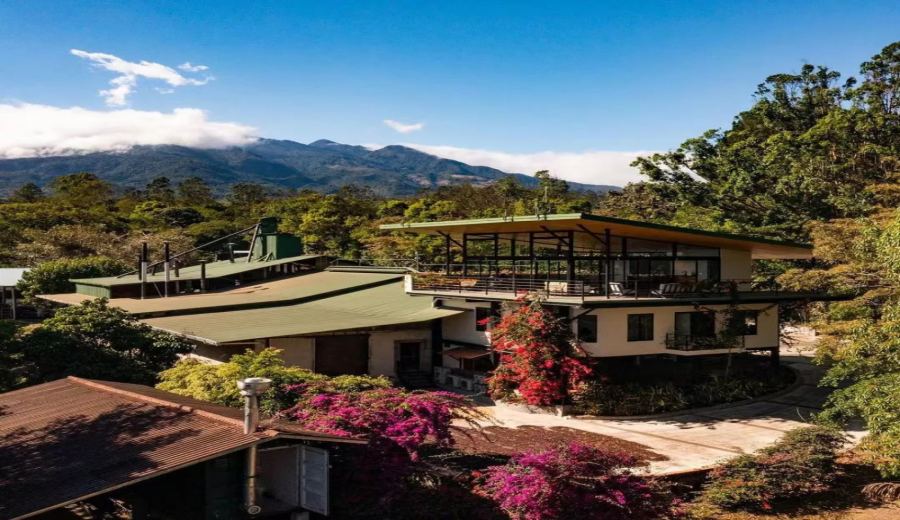 A Comprehensive Guide to Panamanian Boquete Finca La Bella Esperanza Geisha Pour Over Beans | Sun-Dried Flavor Profile & Brewing Parameters