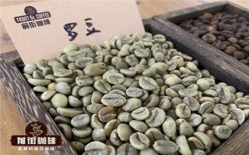 A Comprehensive Guide to Robusta Coffee Beans: Price, Flavor, Uses, and Market Positioning
