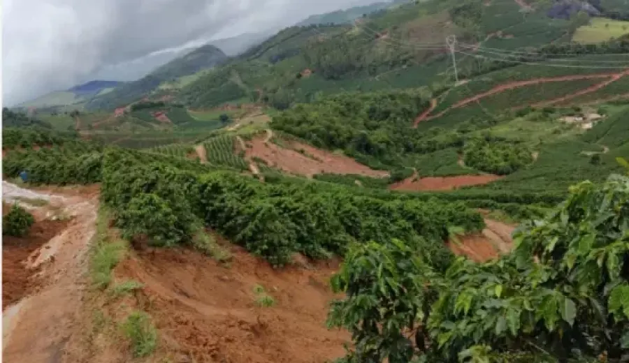 Analysis of 2022 Price Trends and Quality Challenges for Brazilian and Yunnan Coffee Beans