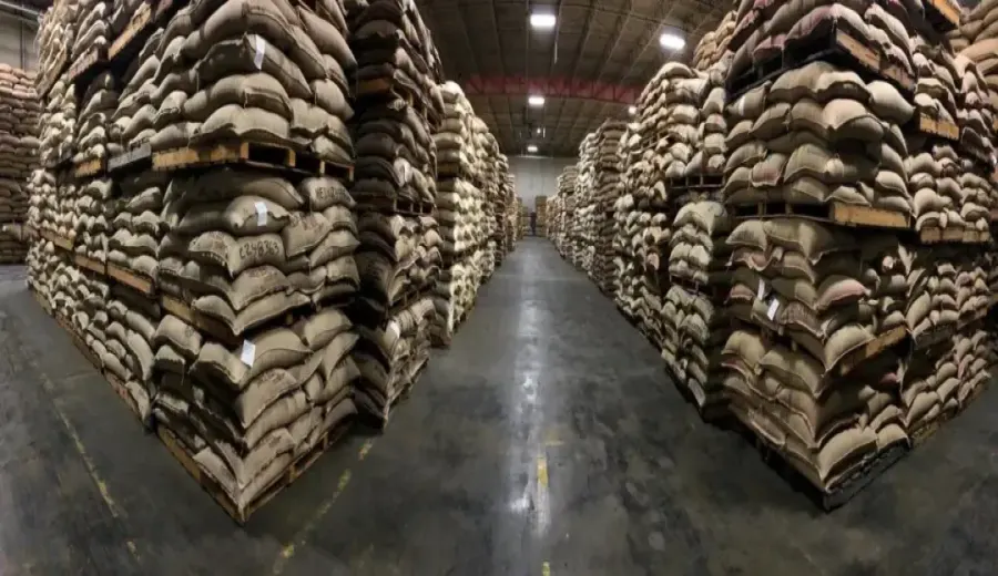 Brazil's coffee exports surge nearly 50%! Port congestion causes traders $300 million in losses