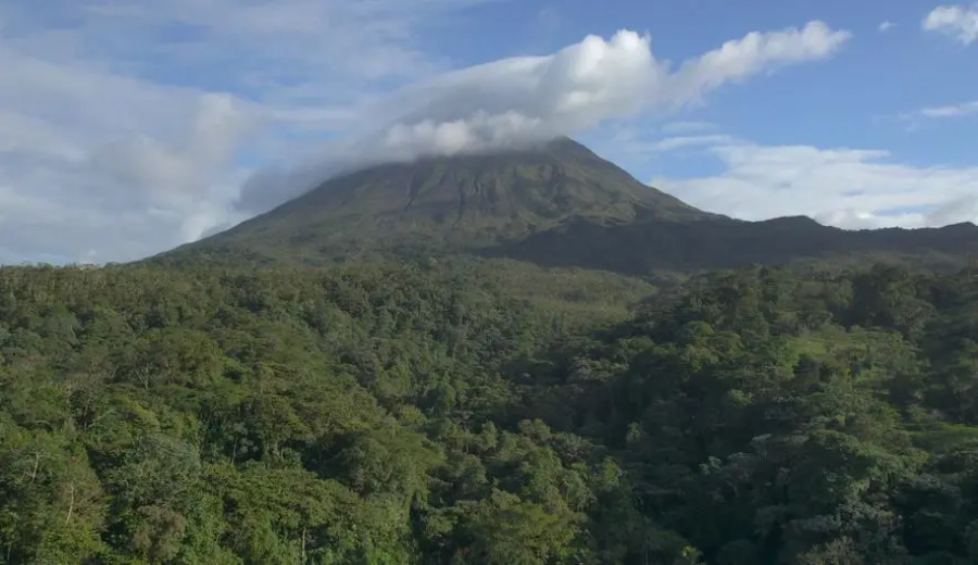 Costa Rica upgrades coffee harvest insurance — but how are migrant workers' rights protected?