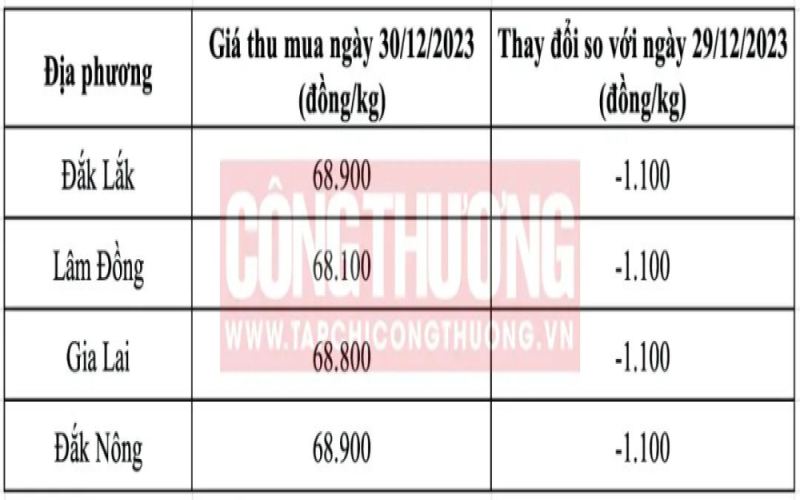 Behind the Softening of Vietnamese Coffee Prices: Supply Stabilization and Global Market Variables Analyzed