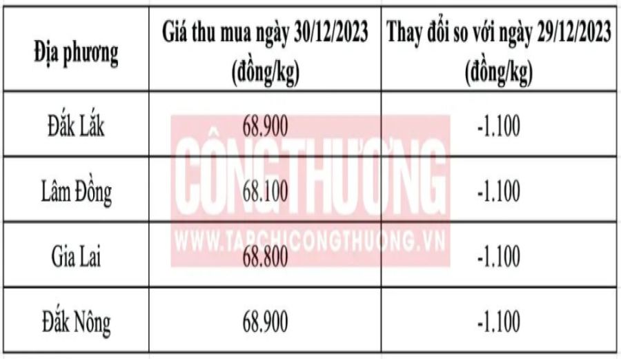 Behind the Softening of Vietnamese Coffee Prices: Supply Stabilization and Global Market Variables Analyzed