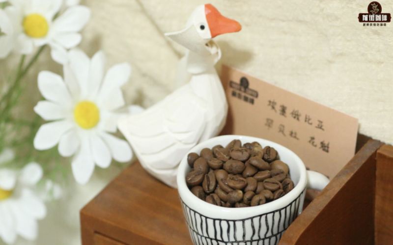 Top 10 Single-Origin Coffee Beans Selection: Flavor Analysis, Suitable Scenarios & Pour Over Recommendations