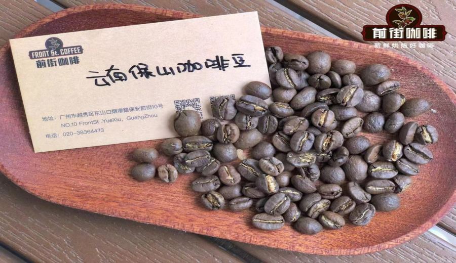 A Complete Guide to Yunnan Small-Bean Coffee: Varieties, Regions, Flavors, and Washed Processing Explained