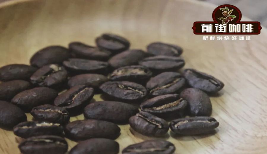 A Comprehensive Guide to Honduran Coffee Regions | Flavors, Grades, and Brewing Tips of Six Major Origins
