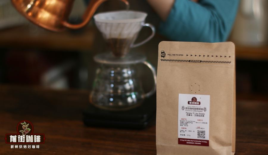 Panama Elida Estate Natural Typica: In-depth Analysis of Region, Processing, and Flavor Profile, with Pour Over Recommendations