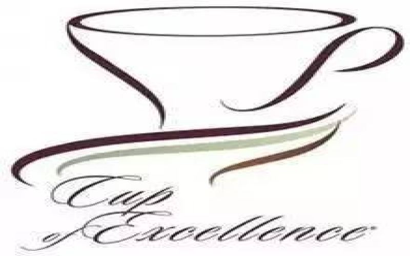 A Complete Guide to the COE Excellence Cup Competition: Format, Scoring, and Specialty Coffee Auction Value