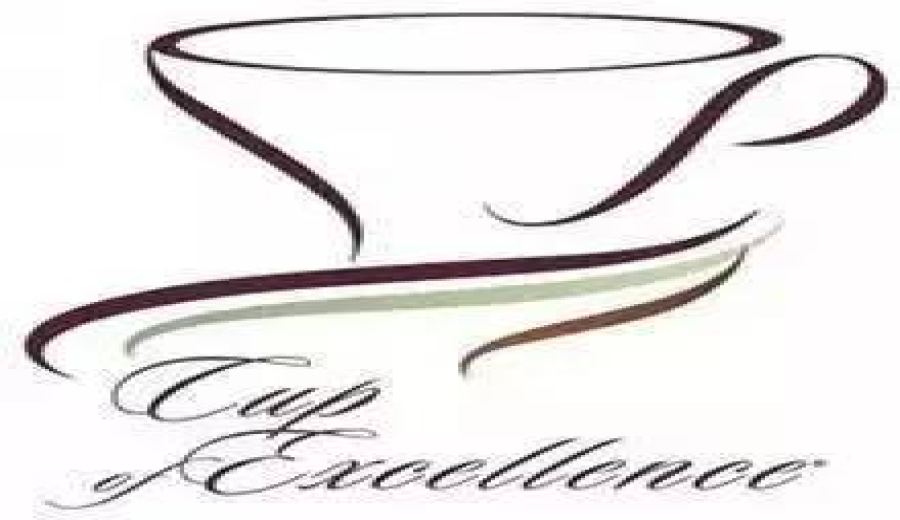 A Complete Guide to the COE Excellence Cup Competition: Format, Scoring, and Specialty Coffee Auction Value