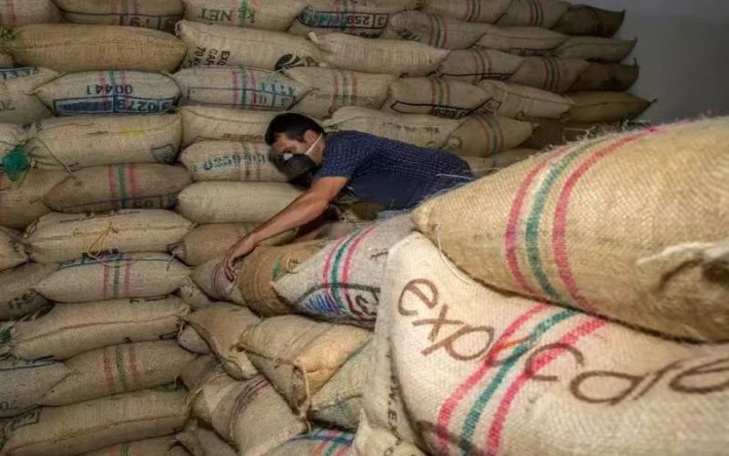 Colombian coffee production surges by 21%! But exports face logistics and tariff challenges