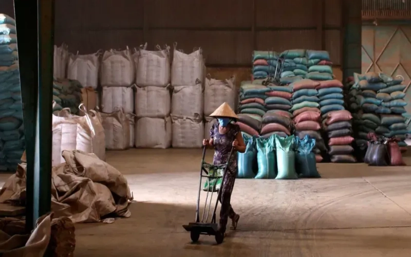 Vietnam's coffee exports hit a record high this year — how is the drought affecting Robusta production and prices?