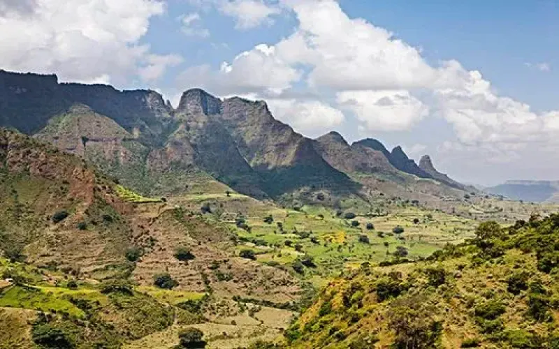 The Ultimate Guide to Yirgacheffe Coffee: Region Background, Washed Process & Flavor Profile