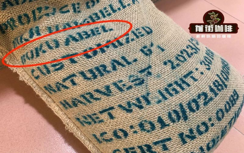 Complete Guide to Brewing Hakka 8.0 for Espresso: SOE and Latte Flavor Profiles & Extraction Tips