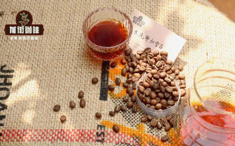 Complete Guide to the Yirgacheffe Region: Flavor Profiles, Processing Methods, and Coffee Bean Buying Tips