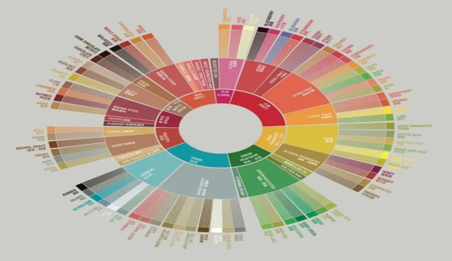Is citrus flavor common in light roast coffee? Unraveling the secrets of aroma compounds and sensory connections